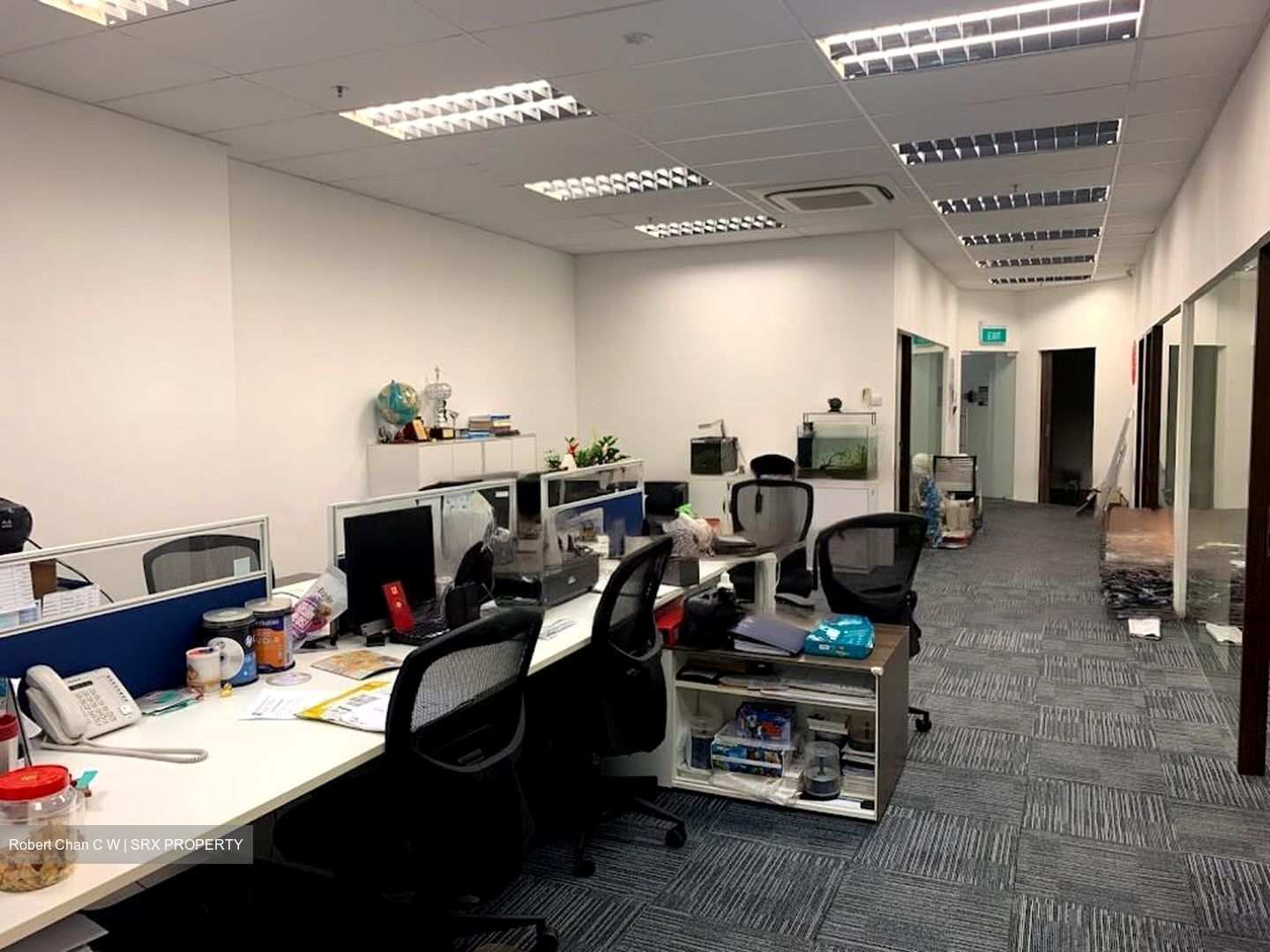 Link@amk (D20), Factory #481813561